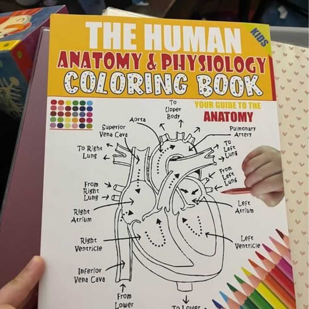 Brightside The Human Anatomy & Physiology Coloring Book for Kids